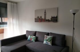 01 salon sofa